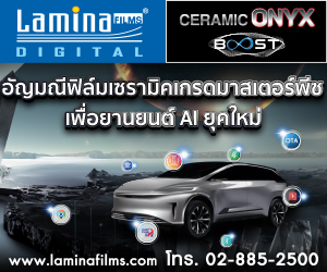 LAMINA 2025 